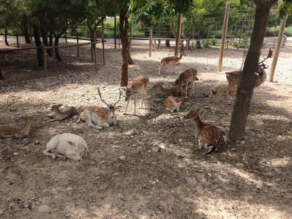 Apartamento Turistico Cigueena De Arguedas Buitenkant foto
